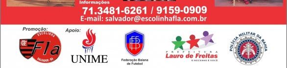 O PROJETO DIA FLACRIANÇA 2011, que acontecerá no dia 09 de outubro (DOMINGO),