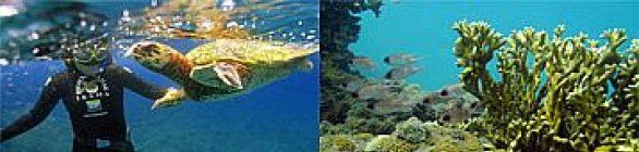 Caravanas sociais e ambientais da Petrobras capacitam mais de 4 mil pessoas em t