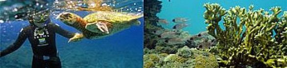 Petrobras prorroga inscrições para seleções públicas de projetos ambientais e so