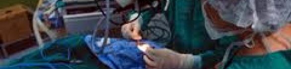 Bahia lidera o crescimento no número de transplantes pelo SUS no Nordeste