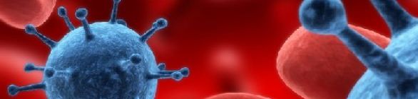 Novo vírus fatal de gripe pode ser transmitido por contato humano