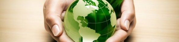 Câmara Temática Local de Meio Ambiente e Sustentabilidade inicia os trabalhos 