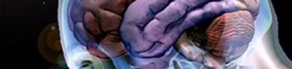 Descoberta substância que pode levar à cura do Alzheimer e Mal de Parkinson