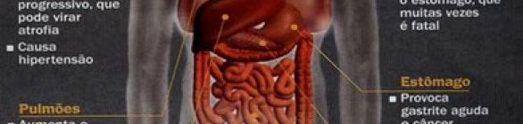 Como combater efeitos no organismo do consumo excessivo de álcool