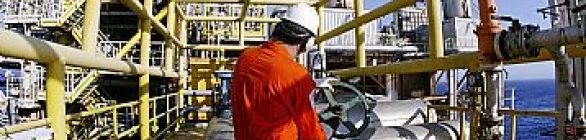 Consórcio aprova programa de trabalho e orçamento de Libra para 2014