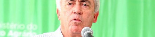 Energia eólica: Investimentos superam R$ 10 bi, segundo Otto