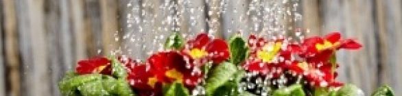 Salvador está livre do risco de racionamento de água 