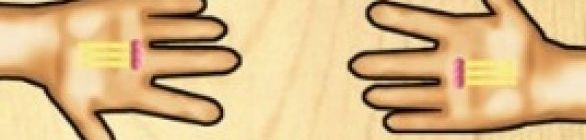  14 torneio de palitinho 