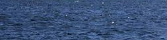 Desaparecimento em Santo Estevão 