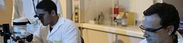 Petrobras e IPT inauguram novos laboratórios na área de energia