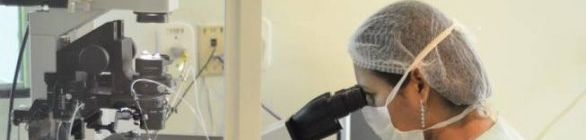 Pesquisa revela motivos para mulheres buscarem  técnicas de congelamento óvulos