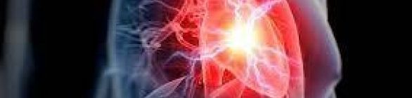 Mais de 289 mil pessoas morreram de doenças cardiovasculares em 2019