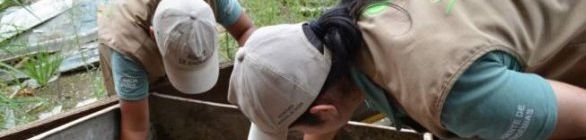 Ministério da Saúde alerta para surto de dengue no Nordeste