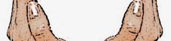 Refis é prorrogado em Lauro de Freitas