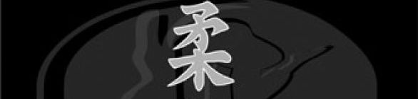 Federação de jiu-jitsu esportivo realiza curso de arbitragem