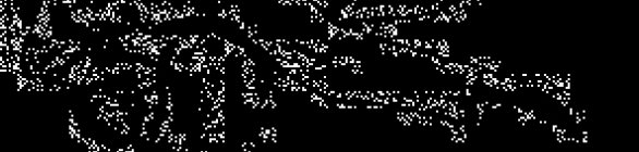 Atletas do Judô Católica participarão do Campeonato Brasileiro regional no Sesc 