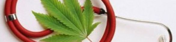 Medicamentos à base de maconha ganham sinal verde