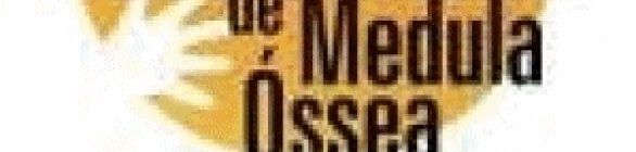 Maior parte dos doadores de medula óssea no país é da Região Sudeste