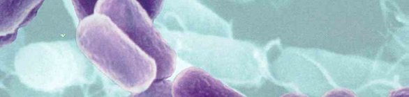 Bactérias são encontradas em água usada em consultórios de dentistas