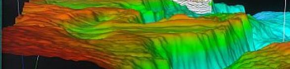Petrobras, Petrobras Distribuidora e Intel assinam Memorando de Entendimentos