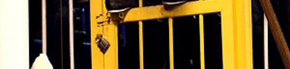 Torcedor que mostrou banana para Roberto Carlos é absolvido