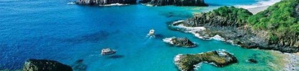   Surfista baiano é atacado por tubarão em Noronha