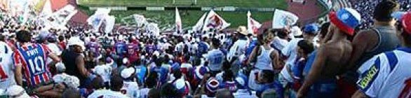 Amor tricolor logo à primeira vista