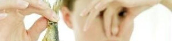 Vigilância Sanitária apreende alimentos estragados em camarotes