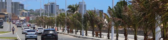 Universidade dos EUA faz pesquisa de trânsito de Ssa