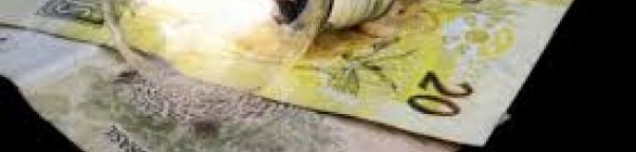 Retorno da Bandeira Vermelha: