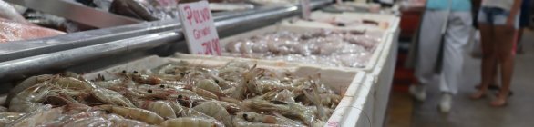 Sexta-feira Santa: Mercados de Paripe e 7 Portas funcionam até meio-dia 