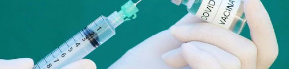 Médicos Veterinários de Ssa exigem cumprimento do Plano Nacional de Imunização