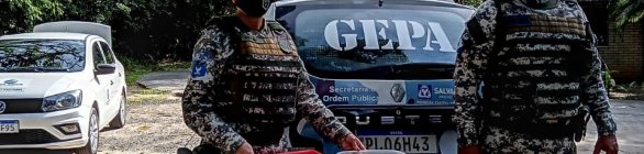 Grupo Ambiental da Guarda já resgatou mais de 300 animais em 2021