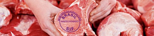 Conab mostra que exportação de carne suína segue em alta 
