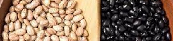 Conab prevê queda no preço do feijão