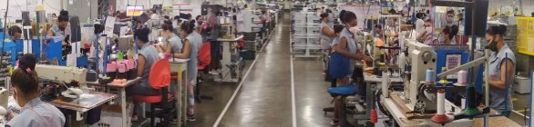 DASS deve gerar 300 empregos no município de Iguaí