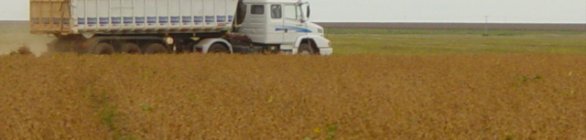 Alta de commodities levou à expansão de 28% nas exportações baianas em maio