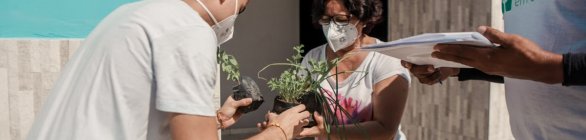 Cidadãos destacam bem-estar através do Horta em Casa