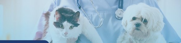 Clínica escola realiza ação contra anemia em pets 