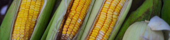 Mercados municipais funcionam em horário especial no São João