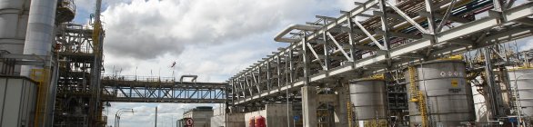 Polo completa 43 anos gerando renda para a Bahia e para os baianos