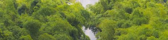 BA-099 tem redução de 50% em acidentes no feriado de Independência da Bahia  