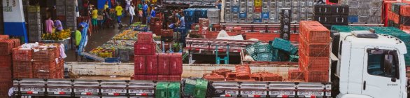 Consulta pública para concessão da Ceasa é publicada no Diário Oficial  