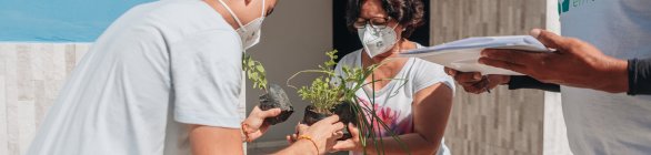 Projeto Horta em Casa abre novas inscrições