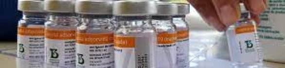 Bahia receberá 280.750 doses de vacinas contra Covid-19