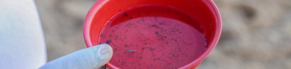 Combate ao Aedes aegypti deve ser redobrado no período chuvoso