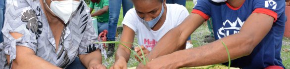 Nova horta urbana é implantada na Caasah