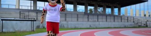 COB terá quase 500 atletas em Assunção 2022, maior delegação do ciclo olímpico