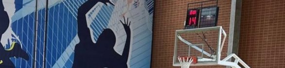 Seleção Brasileira inicia preparação para janela das Eliminatórias e AmeriCup 20