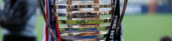 E.C.Bahia:Copa do Nordeste